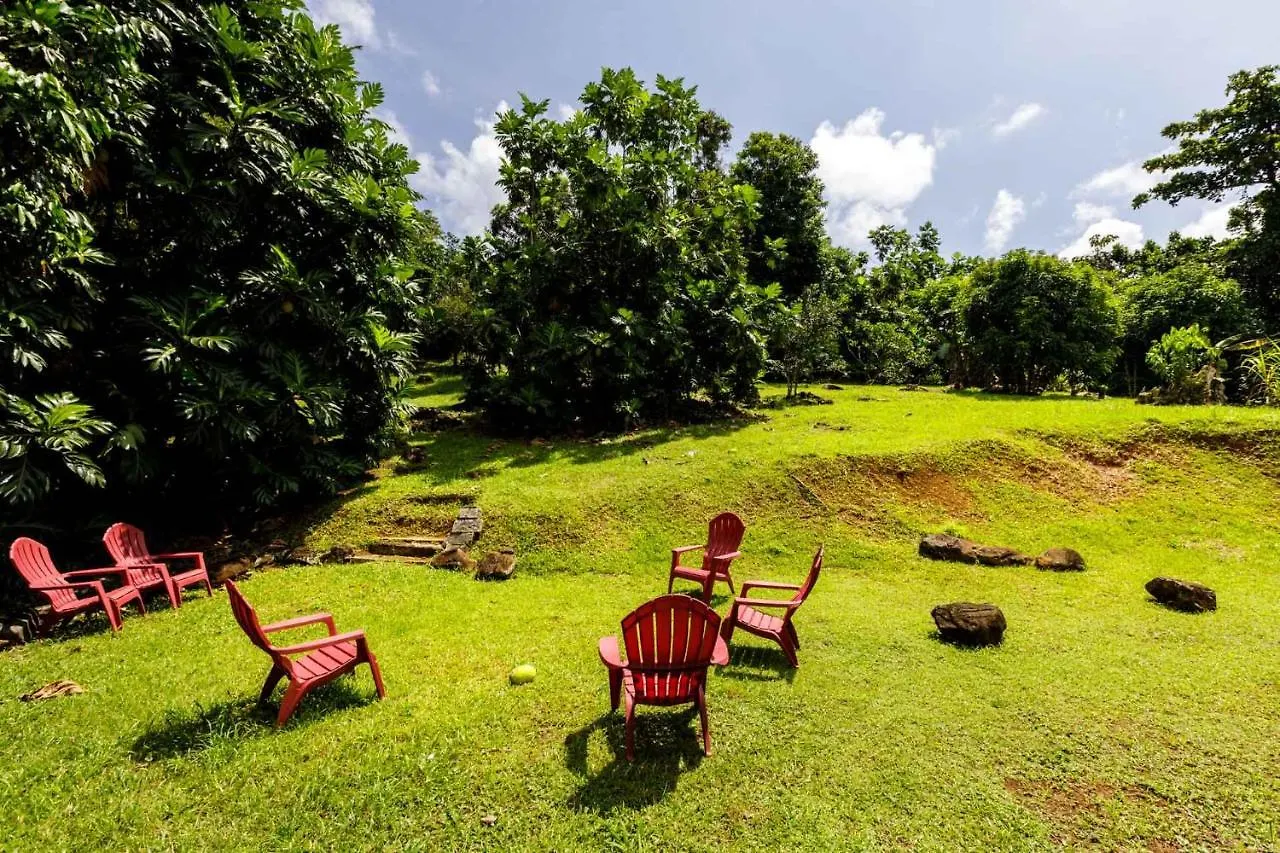 Rainforest Retreat 15 Min From The Beach Luquillo