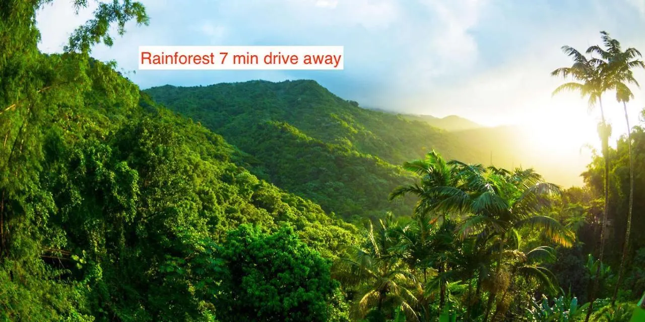 Rainforest Retreat 15 Min From The Beach Luquillo