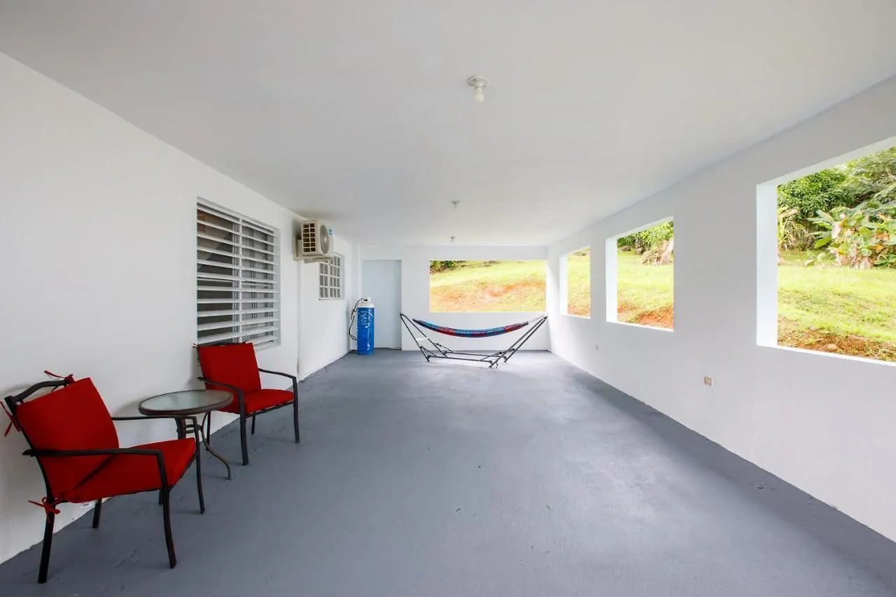 Rainforest Retreat 15 Min From The Beach Luquillo